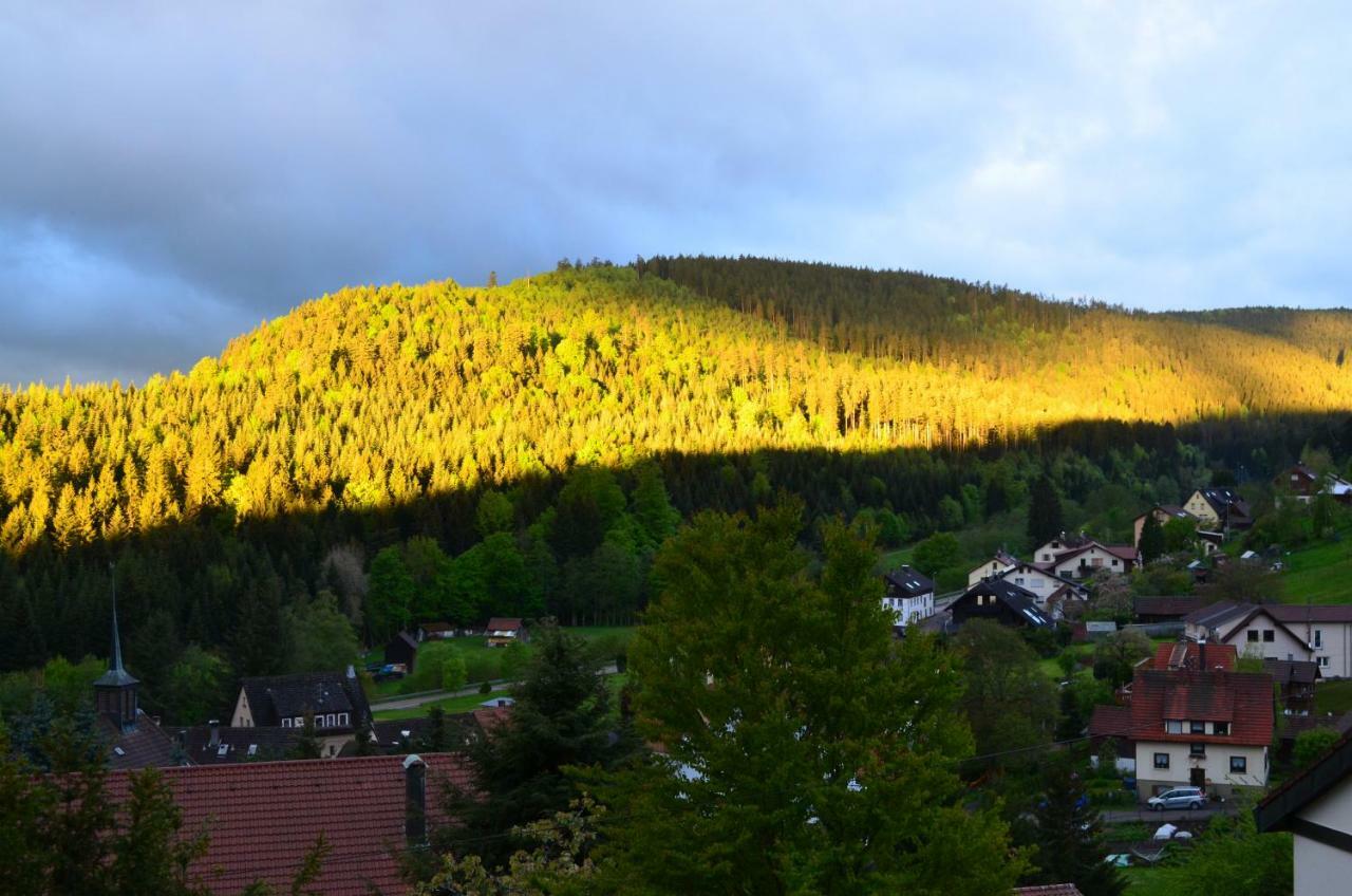 Ferienwohnung Am Kurpark Bad Wildbad Bagian luar foto