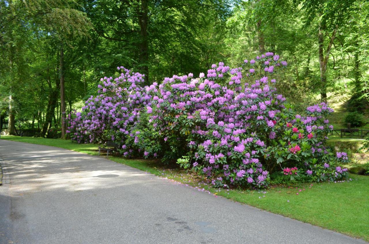 Ferienwohnung Am Kurpark Bad Wildbad Bagian luar foto